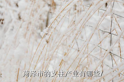 菏泽农业怎么样,山东菏泽金元农业