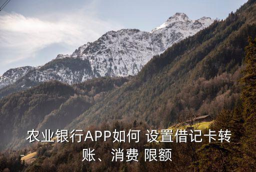 农业卡怎么设置限额,农业限额设置在哪里