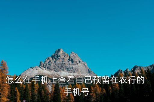 农业银行卡怎么看手机号,怎么看自己的银行卡绑定的手机号