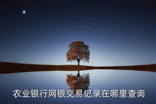 农业银行怎么查转账汇总