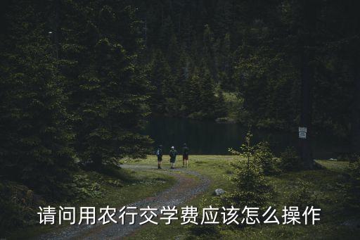 农业银行给孩子汇款怎么汇,是中国农业银行
