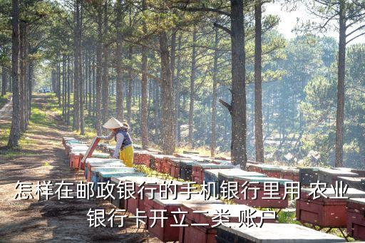 农业银行怎么注册2级账户,手机农业银行怎么注册账户