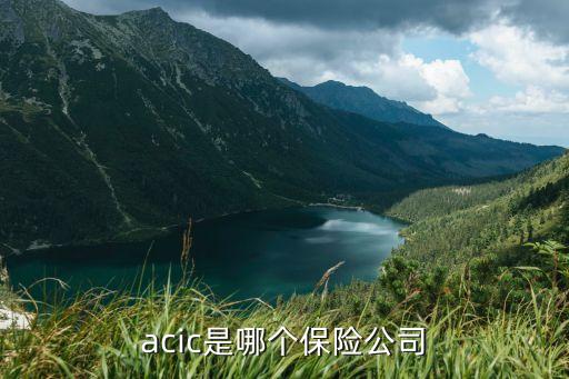 农业再保险属于什么级别,中国再保险什么行政级别