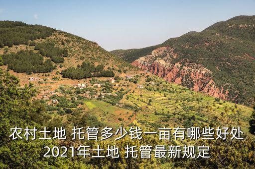 农业生产托管怎么解决