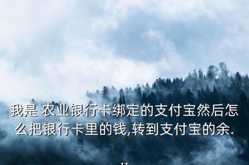 农业银行怎么用余额宝