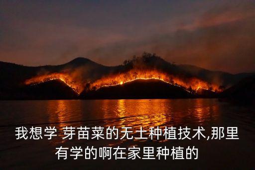 农业灯塔芽苗菜怎么样,潍坊世博农业芽苗菜怎么样