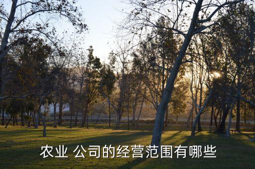 农业公司具体职责分工表怎么填报