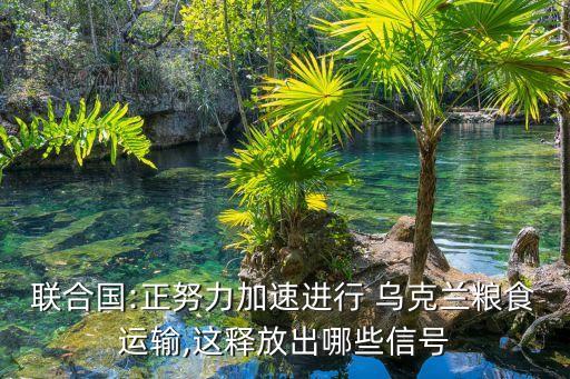 乌克兰农业用什么农机系统