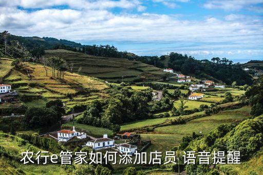 农业银行怎么开通语音播报