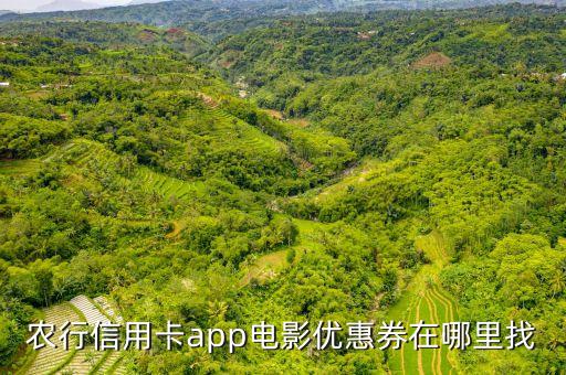 农业银行掌上怎么抢券,怎么用掌上农业银行