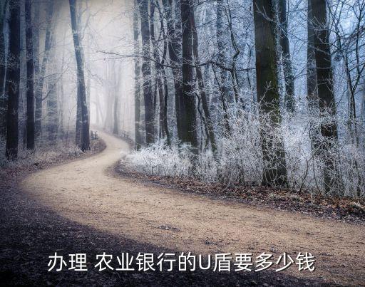 农业银行的u盾怎么收费