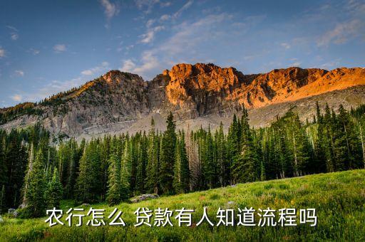 农业银行贷款方式怎么操作,山东农业银行贷款怎么操作