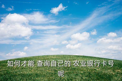 农业银行的卡片号怎么查询