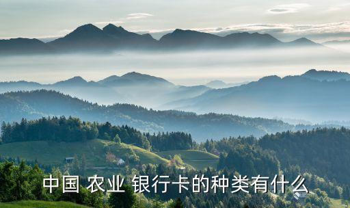 农业银行卡是什么卡,农行卡是什么卡