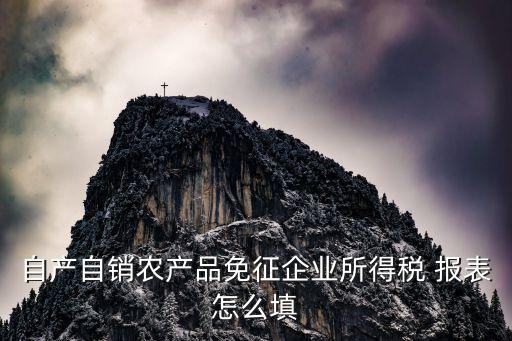 大良农业报表怎么写