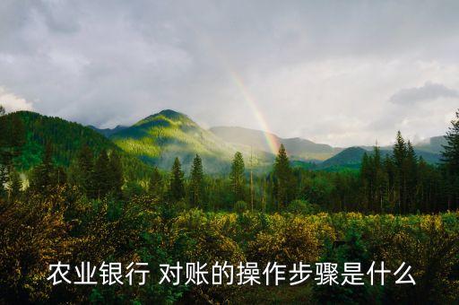 农业银行个人账户怎么对账