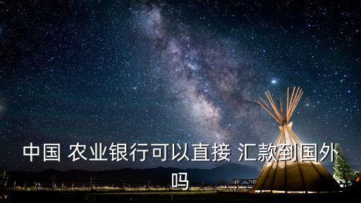 农业银行跨行美元怎么汇款