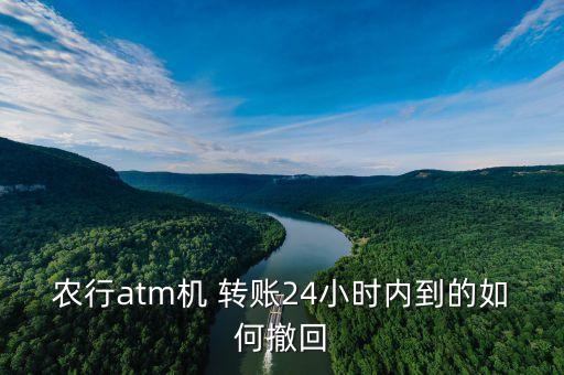 农业次日转账怎么取消,建设银行次日转账可以取消吗