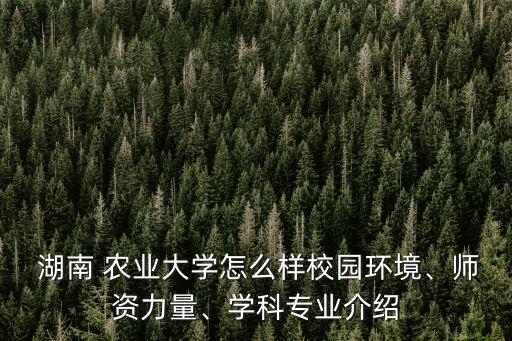 湖南农业大学怎么报账