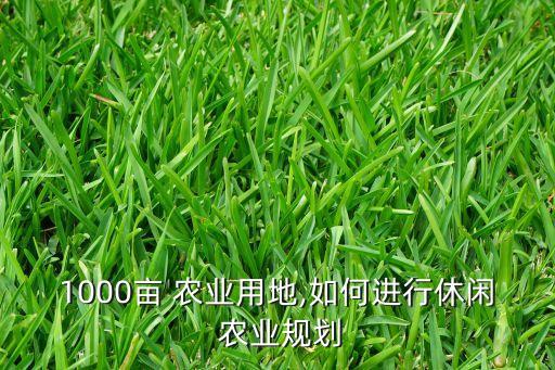怎么做好农业庄园