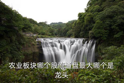 农业龙头股怎么选股票,农业种植股票龙头股有哪些