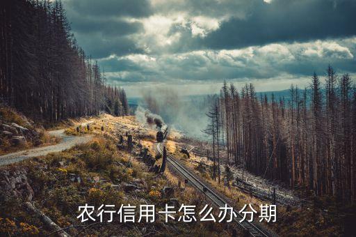 农业银行分期付款怎么买,拼多多农业银行分期付款