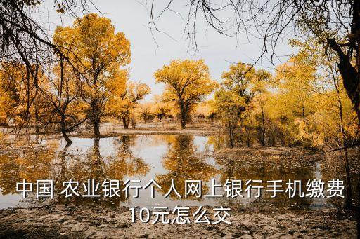 农业网银怎么交话费便宜