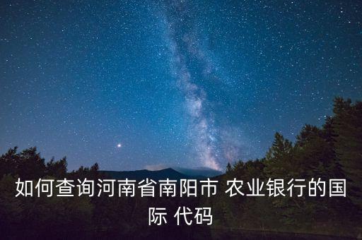 农业银行代码怎么输入