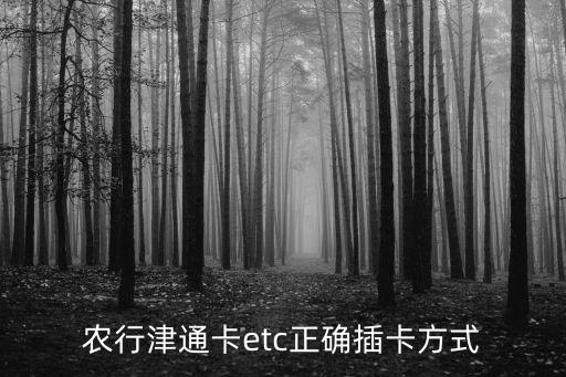 农业银行etc怎么插教程