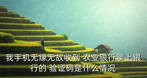 农业业务验证码怎么查询