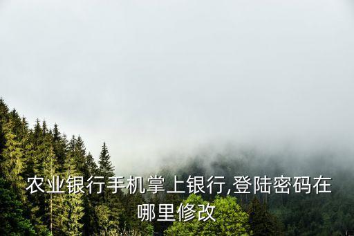 农业银行卡秘密怎么设置