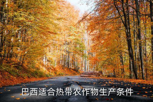 巴西农业什么最好,巴西高原热带气候条件优越农业发展潜力大
