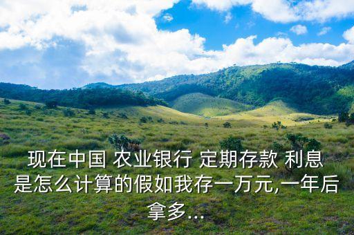 农业银行定期利息怎么结
