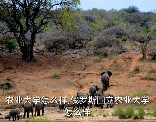 诸暨农业大学怎么样,俄罗斯国立农业大学怎么样