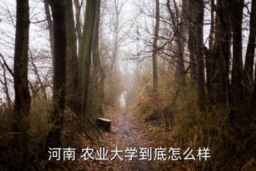 河南农业大学怎么抢课