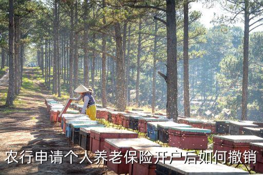 农业银行长期保险怎么取消