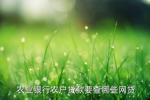 农业线上信贷部怎么查