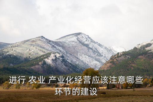农业产业化建设是什么意思,农业现代化建设是什么意思