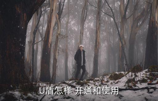 农业银行u盾之类怎么开通