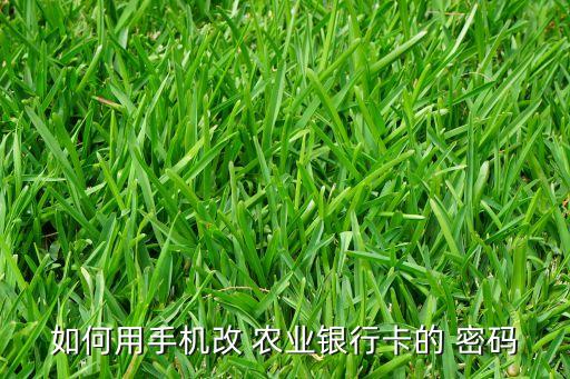 农业支付密码怎么修改,农业银行卡忘记支付密码了怎么办