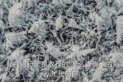 农业信用卡代码怎么查