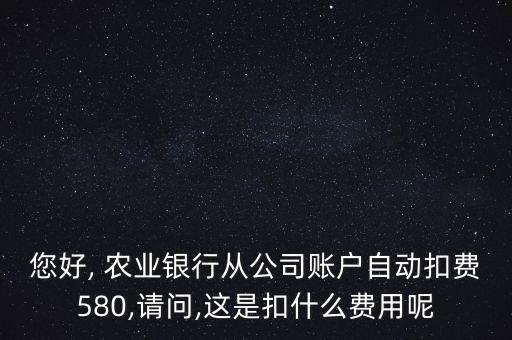 农业银行网银扣钱怎么回事,电脑上农业银行网银打不开怎么回事