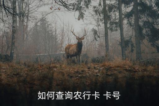 农业银行忘记卡号怎么