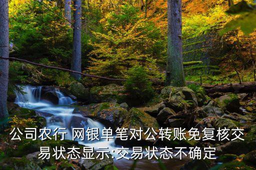 农业网银付款怎么确认不了