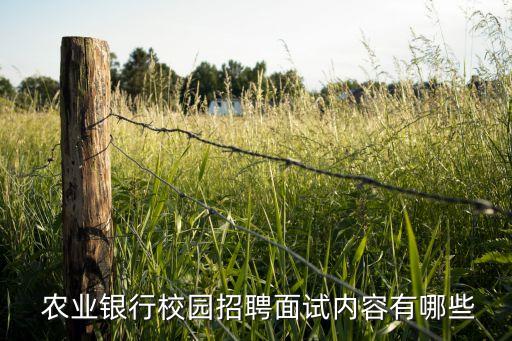 农业银行怎么看编程课