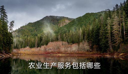 服务业与农业的区别是什么,什么是农村生产服务业