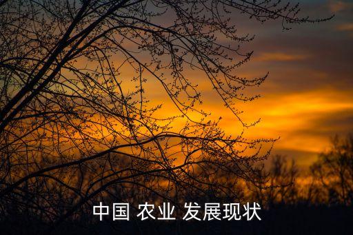 市农业发展综述怎么写啊,国内外休闲农业发展研究综述
