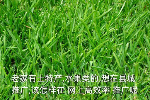 农业行业怎么在网上做推广