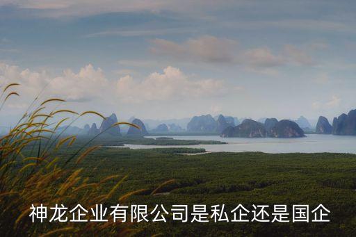 云南神龙农业集团怎么样,神龙农业集团简介