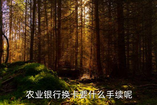农业银行金融卡怎么更换,金融通宝卡农业银行